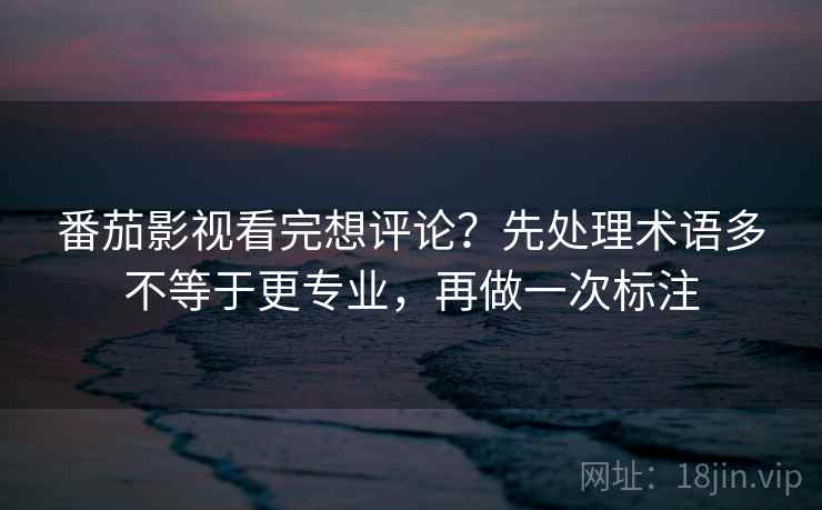 番茄影视看完想评论？先处理术语多不等于更专业，再做一次标注